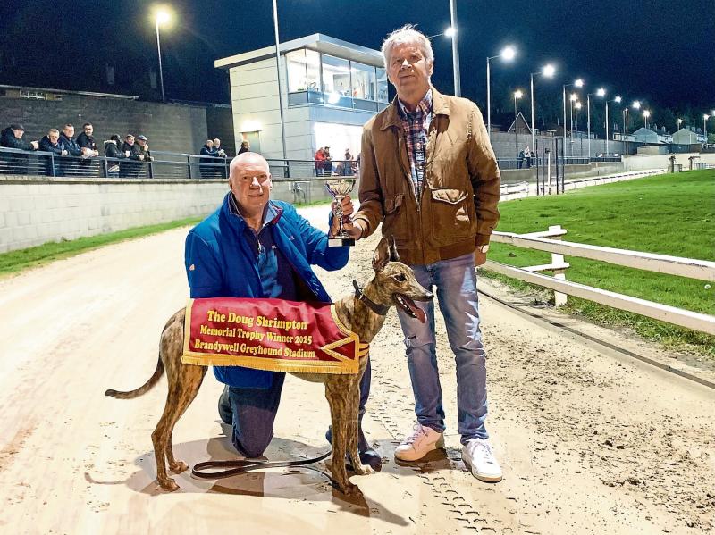 Derry Greyhounds: 'Generous Cashout' wins Doug Shrimpton Memorial Sprint