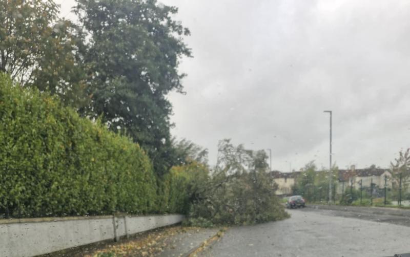 Number of trees blocking Derry roads as Storm Amy hits