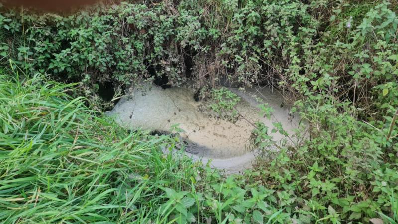 Concern over harmful pollution in River Roe