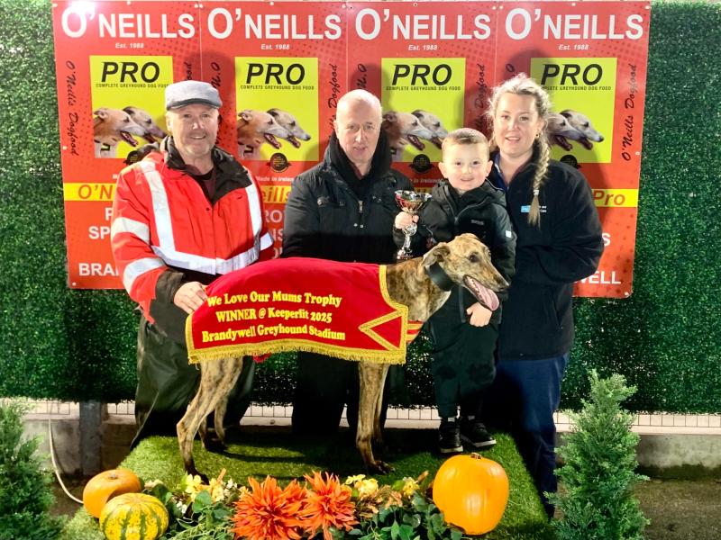 Derry Greyhounds: Freyas Robyn fastest on Keeperlit Gala Night