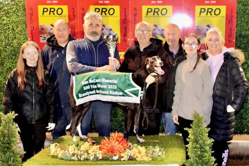 Derry Greyhounds: 'Meet More Often' lands Dan McCann Ulster 500 Final