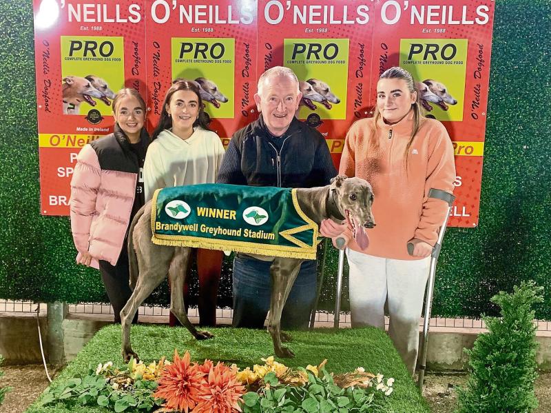Derry Greyhounds: Eileen sets her Aidhm on Derby glory