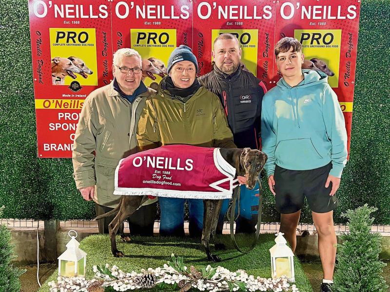 Derry Greyhounds: Galliagh Johnny: Brandywell&rsquo;s First Star of 2026