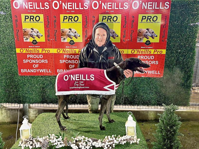 Derry Greyhounds: Oliver Canavan lands an Olwinn double at Brandywell