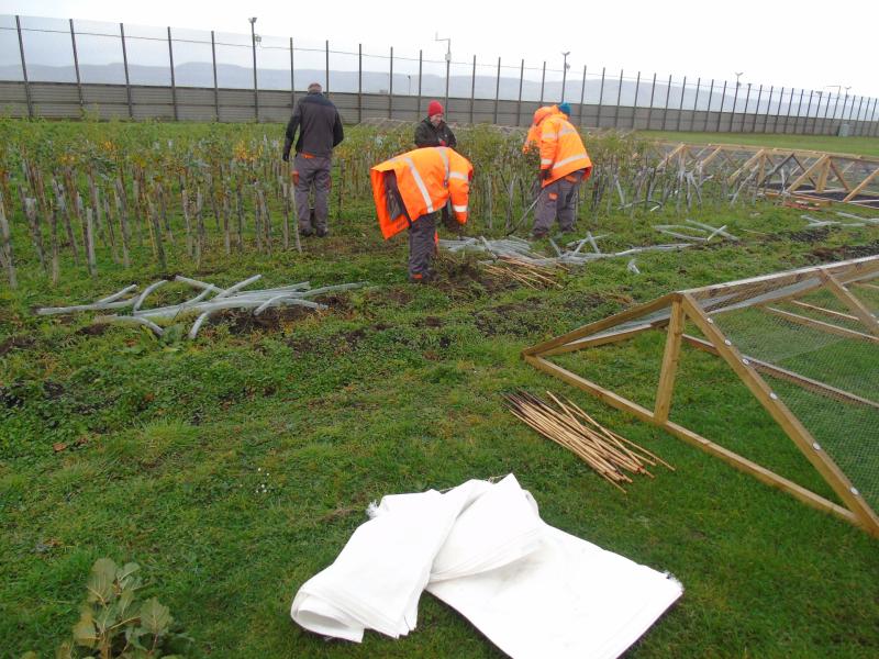 County Derry prison social enterprise offers sustainable native trees supporting reform and conservation