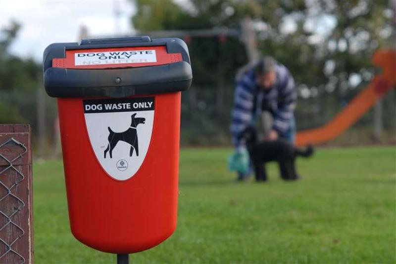 Causeway Council reminds residents to act responsibly to tackle dog fouling and littering 
