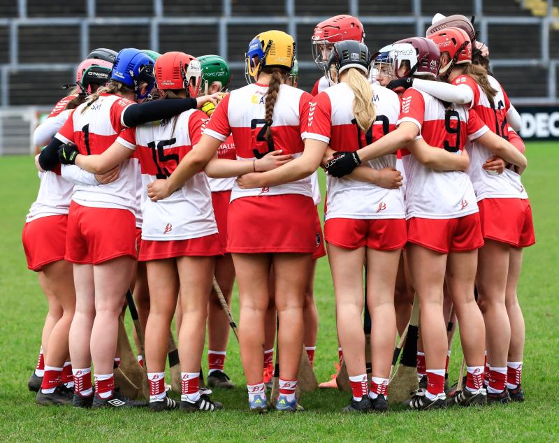 Derry score last seven points to grab a win over Carlow in camogie opener