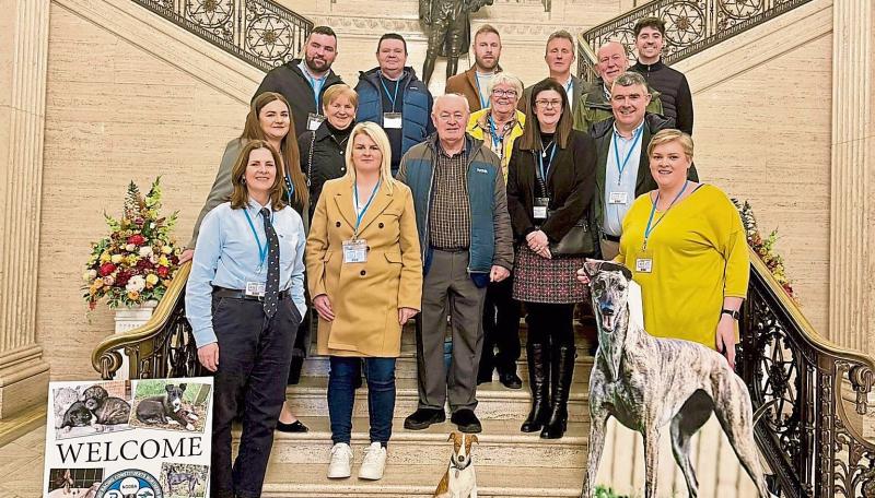 Derry Greyhounds: Greyhound community visits Stormont ahead of its centenary
