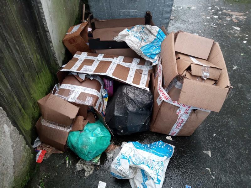 Derry and Strabane District Council issue renewed appeal over fly-tipping