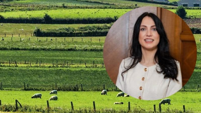 1,400 farms in Co Derry located on constrained land in need of support payments, Stormont told