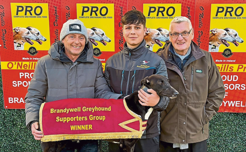 Derry Greyhounds: Farrell family&rsquo;s fantastic treble triumph at Brandywell