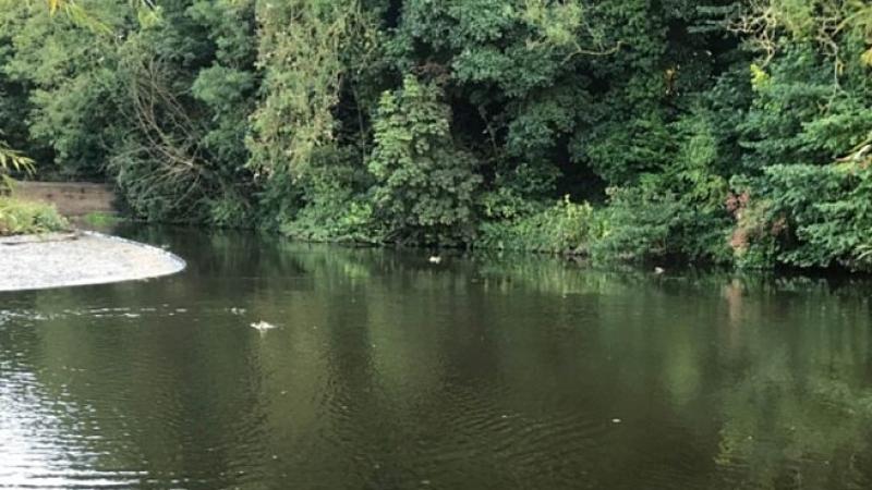 Public invited to take part in Big River Watch as concern grows around river health
