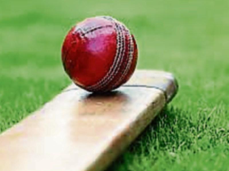 Anyone for cricket?