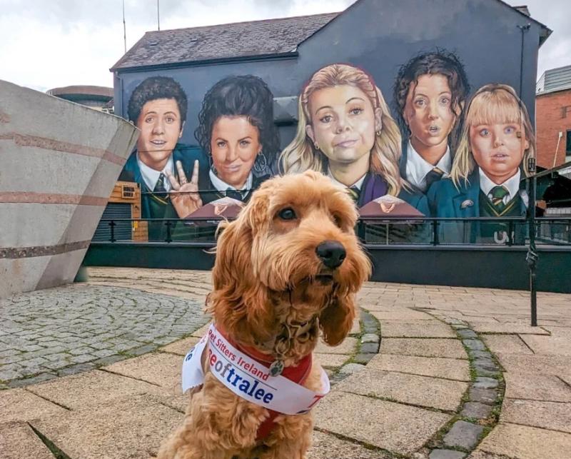Derry pup hopes to bring home 'Nose of Tralee' title to County Derry