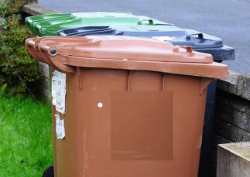 New brown bins