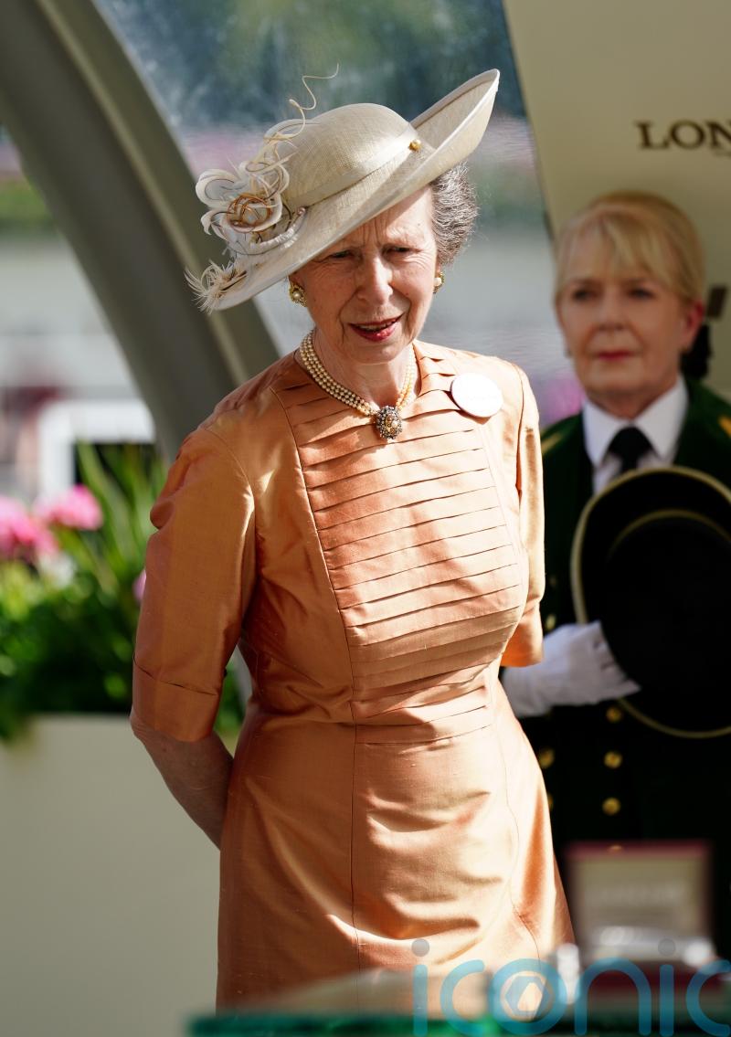 Anne attends garden party at Hillsborough Castle