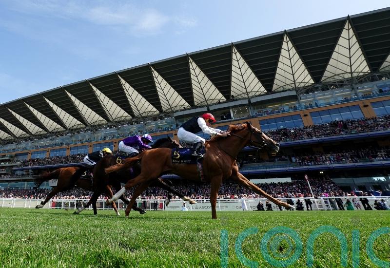 Aidan O’Brien preparing healthy Goodwood squad