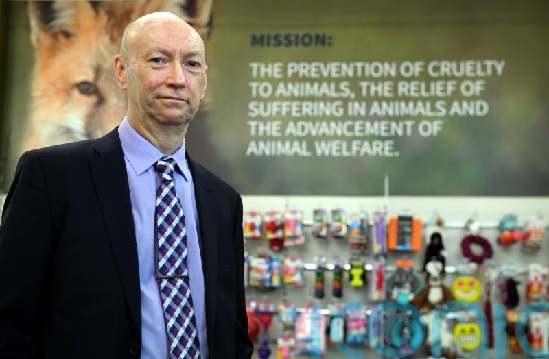 Charity chief appeals for information over cat caught in snare in Newry