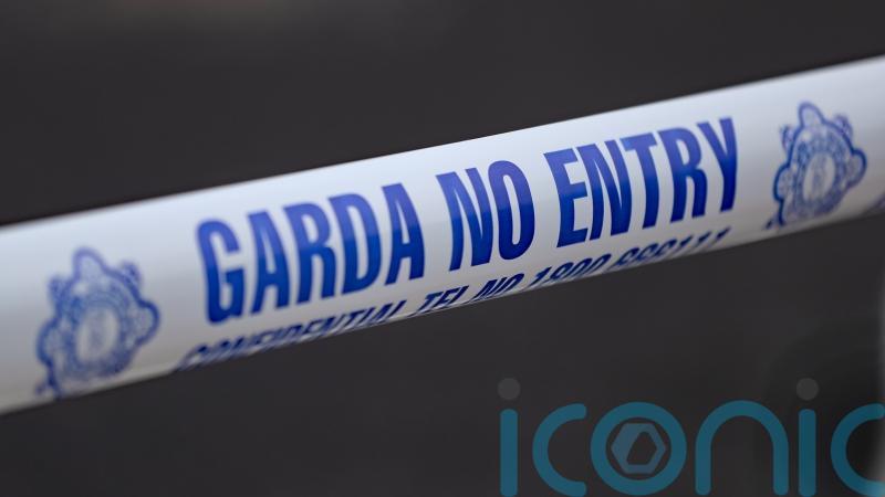 Teenager dies at Kerry pony festival  