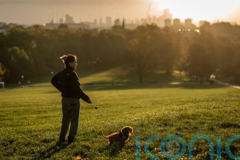 Warmest Armistice Day on record as weekend high is forecast to hit 20C