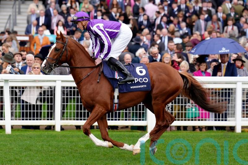 'Shark' Hanlon eyeing summer campaign with Wordsworth