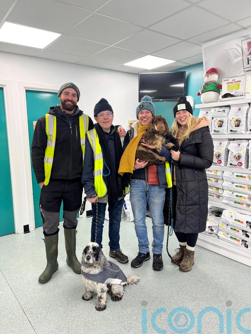 Missing dog Evie found after huge community response to search appeal
