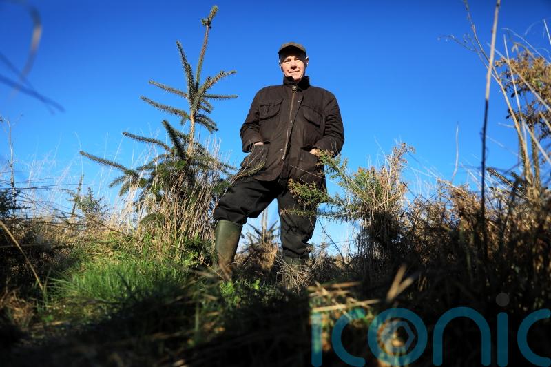 Pensioner hailed as eco-champion after planting 20,000 trees on disused land