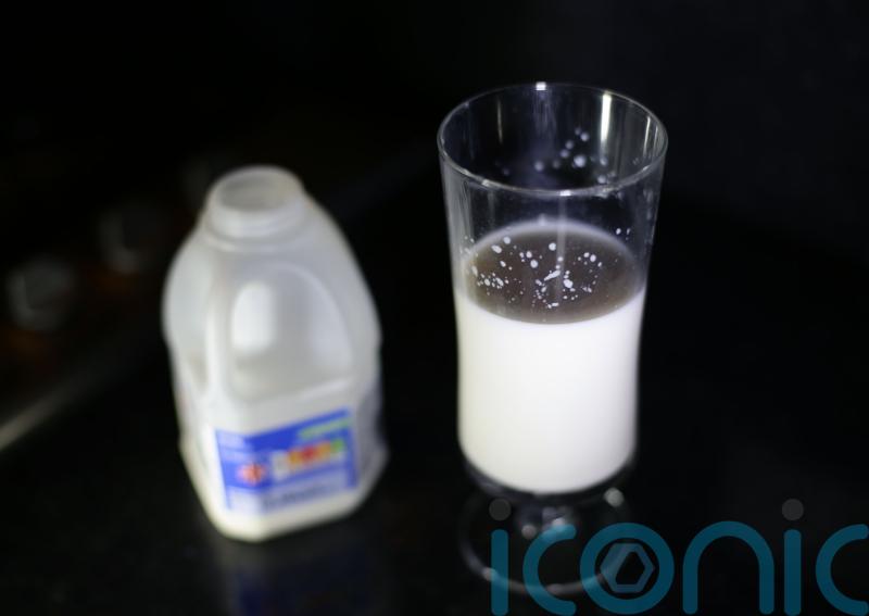 Drinking milk made ancient humans heavier and taller, study finds