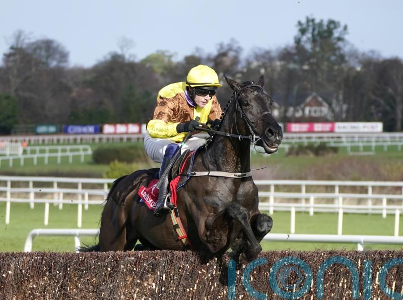RACING: Galopin Des Champs does everything asked of him in Irish Gold Cup