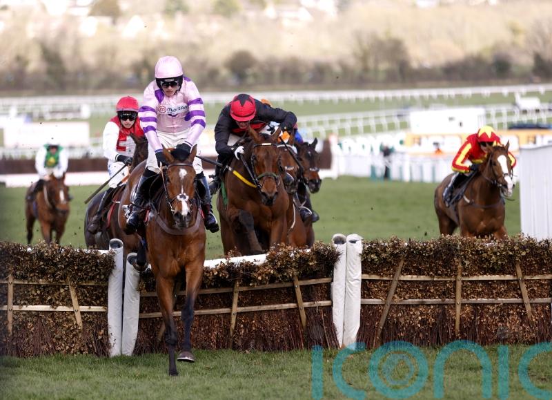 Punchestown now a possibility for Affordale Fury