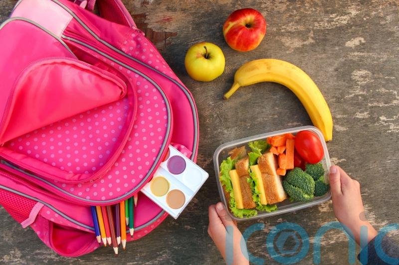 Decision to end ‘holiday hunger’ payments is outrageous, says West Tyrone MLA