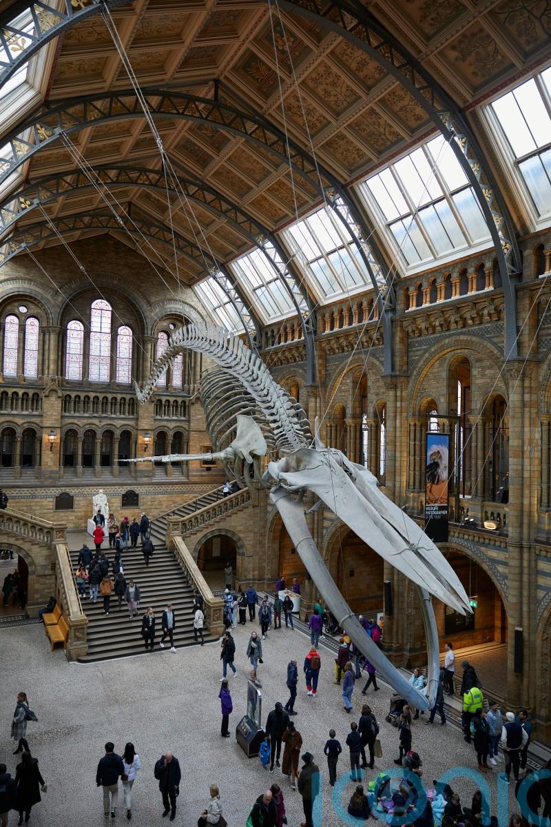 Shortlist announced for Art Fund Museum Of The Year