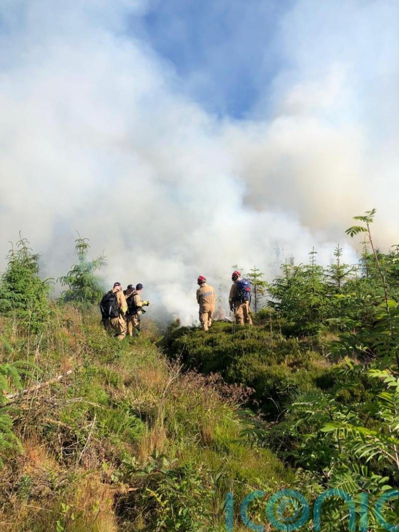 Gorse wildfires downgraded from major incident after three-day blaze