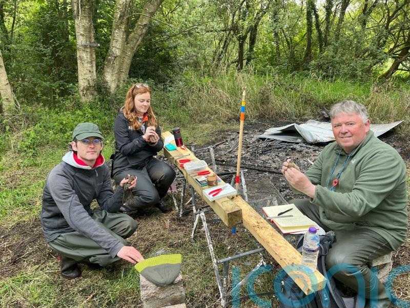 Arson threatens Lough Neagh conservation project
