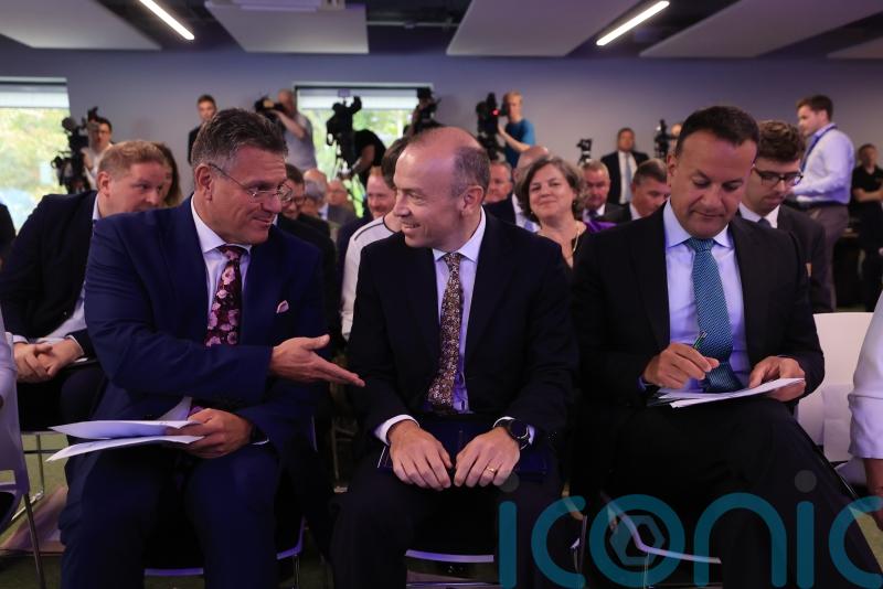 EU, UK and Ireland ‘putting money where their mouth is’ with new funding
