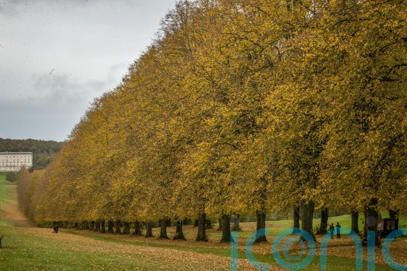 One enforcement action taken out of hundreds of tree breach reports