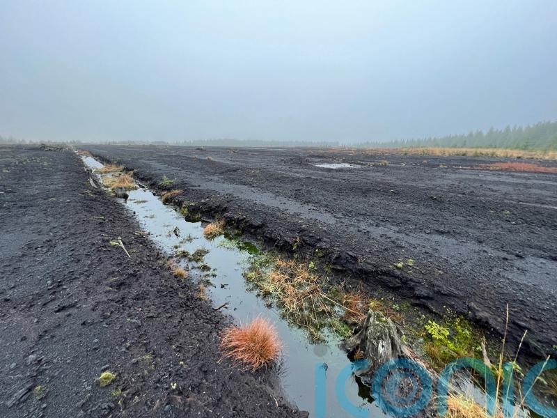 Co Tyrone bog to be transformed in first-of-its-kind peatland restoration