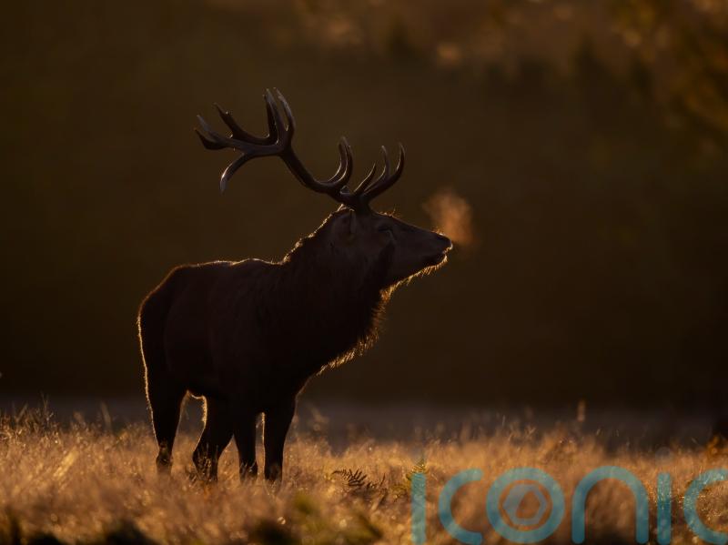 Climate change has caused ‘chaos’ for UK nature in 2023