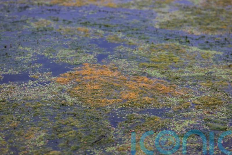 Minister to meet Lord Shaftesbury to discuss issues around Lough Neagh