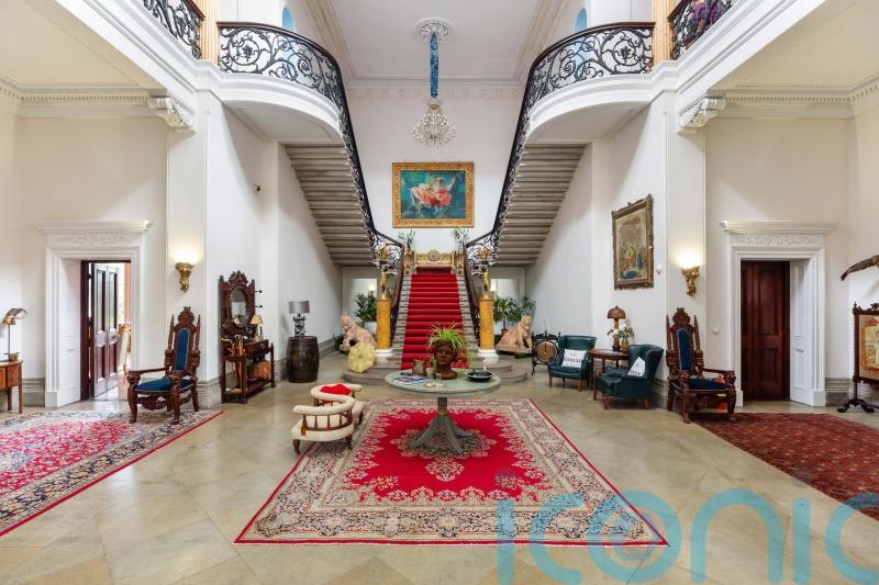 ‘Quirky’ items from Westmeath mansion available to view before auction