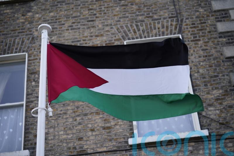 Ambassador ‘looking forward’ to Palestine flag flying over Irish parliament