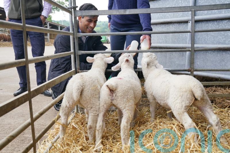 In Pictures: Parties show sweeter side as Sunak feeds lambs and Davey bakes cake