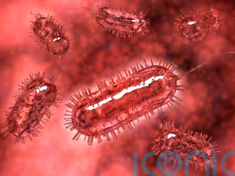 People admitted to hospital in UK-wide E. coli outbreak