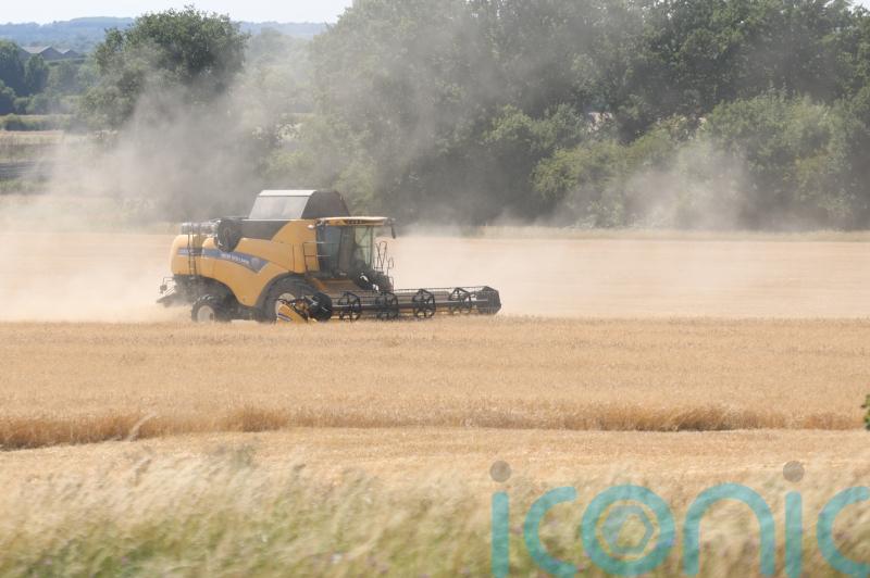 44% fall in total farming income in Northern Ireland