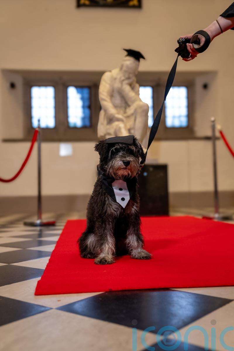 Queen’s University becomes first in UK to recognise role of pets