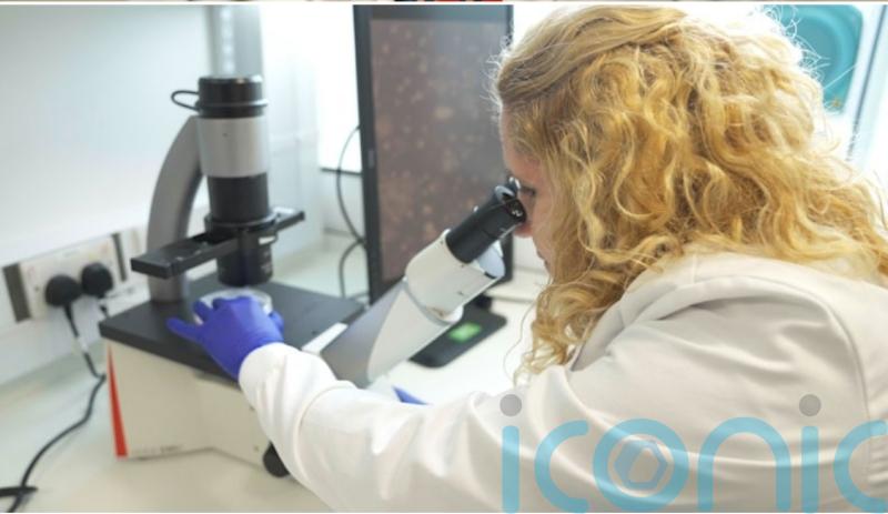 Blood vessel discovery could lead to new diabetes treatments