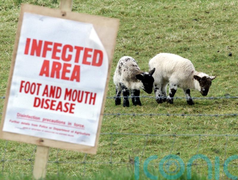 Foot-and-mouth outbreak had potential to overwhelm services, Rodgers warned