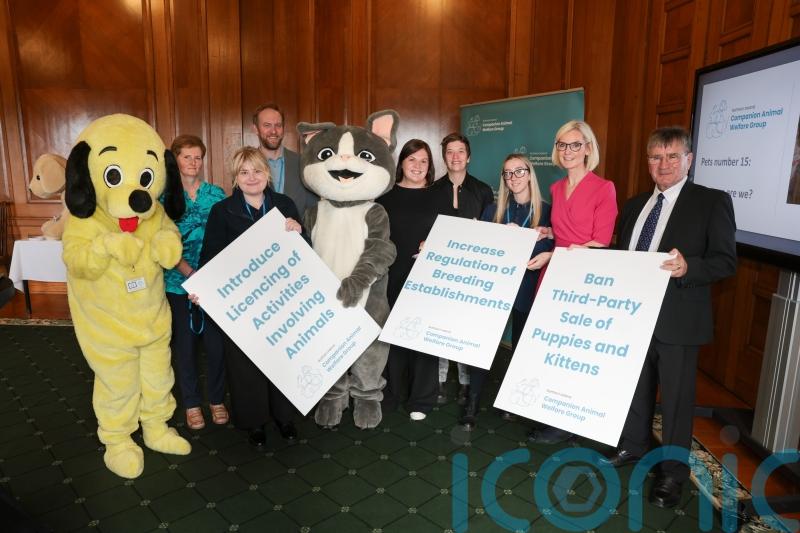 Stormont urged to introduce new regulations around pet breeding