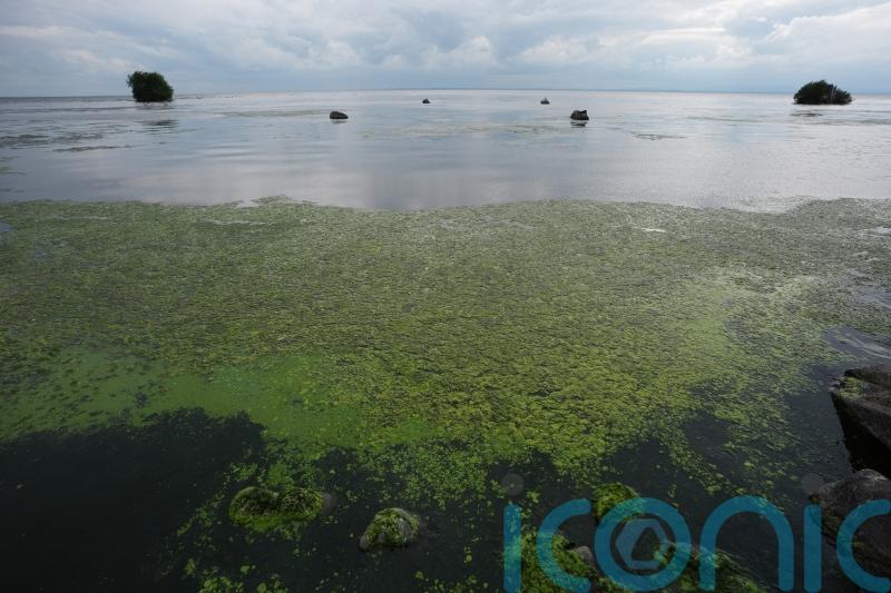 Lough Neagh blue-green algae to be observed from space