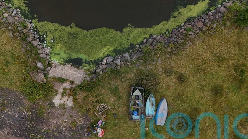 Five suppliers appointed to tackle blue-green algae in Lough Neagh